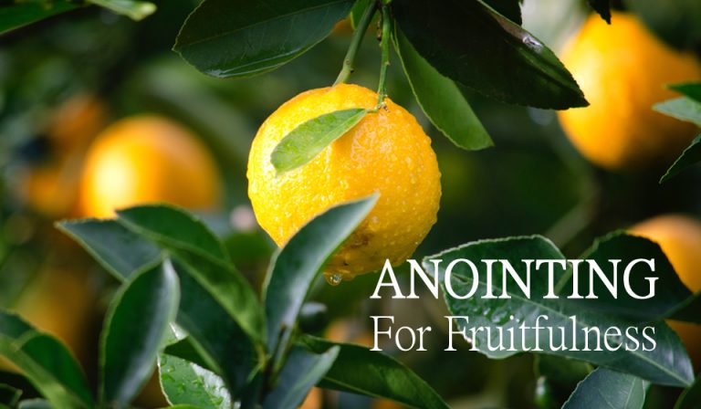 Anointing for Fruitfulness
