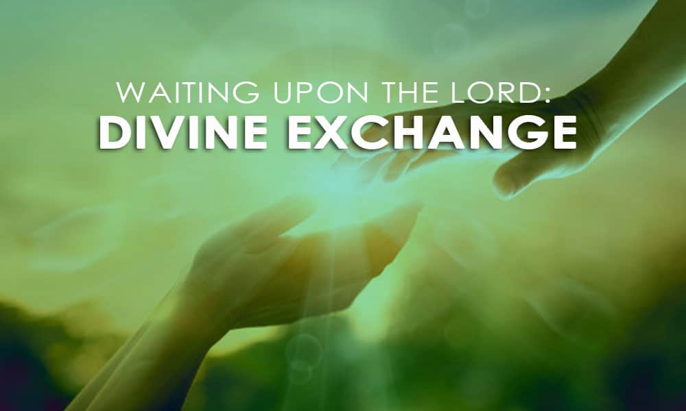 divine-exchange